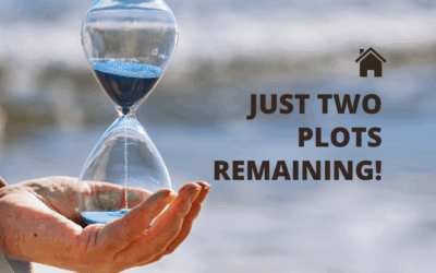 Just Two Plots Remaining!